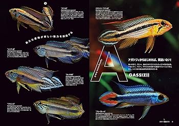 アクアライフ　まとめ売り 月刊アクアライフ マリンアクアリスト 3冊セット - メルカリ